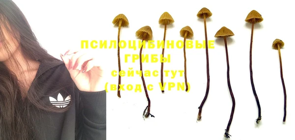 не бодяженный Горнозаводск
